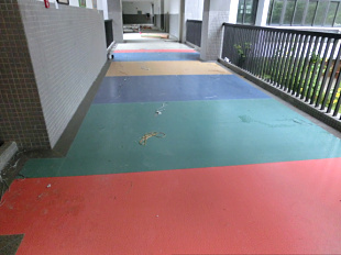 深圳华邦环保PVC胶地板关注
